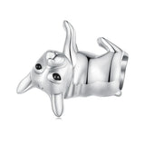 French Bulldog Charm