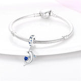 Playing Dolphin Dangle Charm