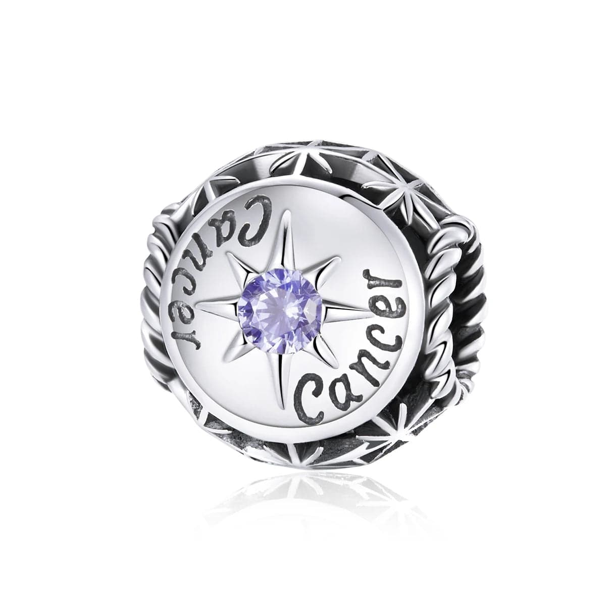 Zodiac Star Signs Constellation Charms
